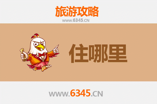 天门汪场镇旅游民宿全攻略：田园诗意与在地文化的完美融合